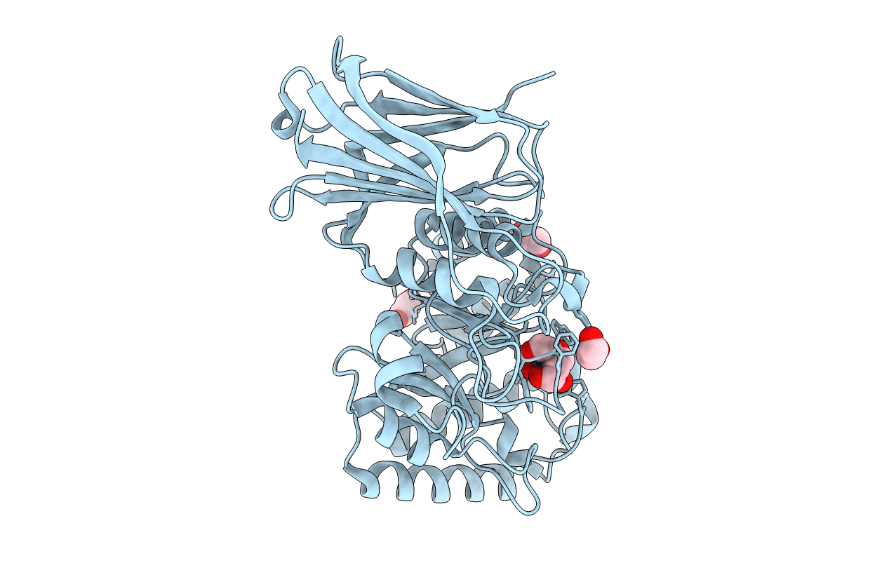 5U22 image