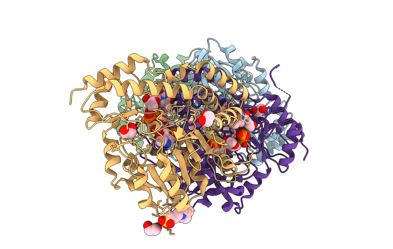 5U23 image
