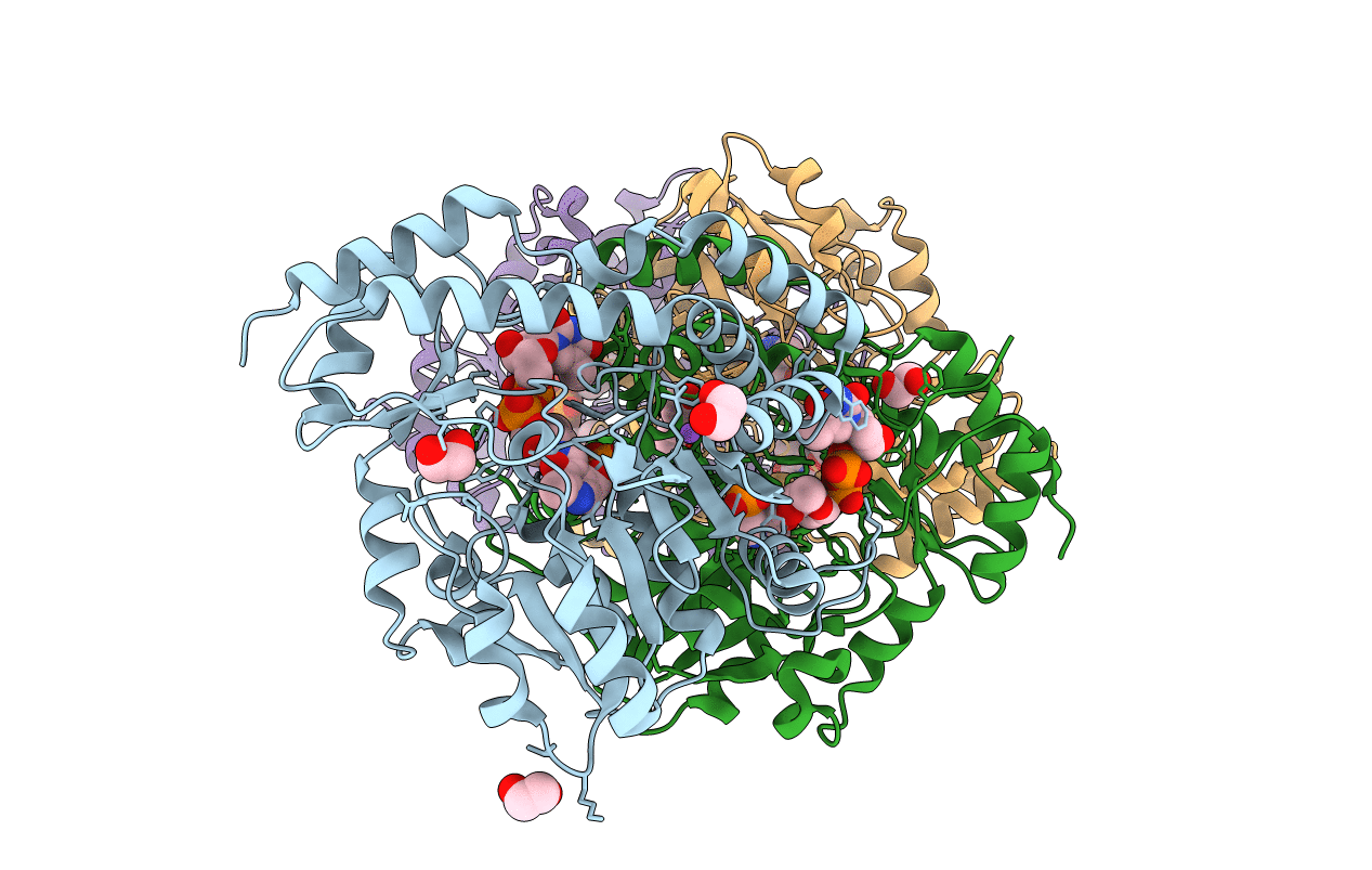 5U24 image