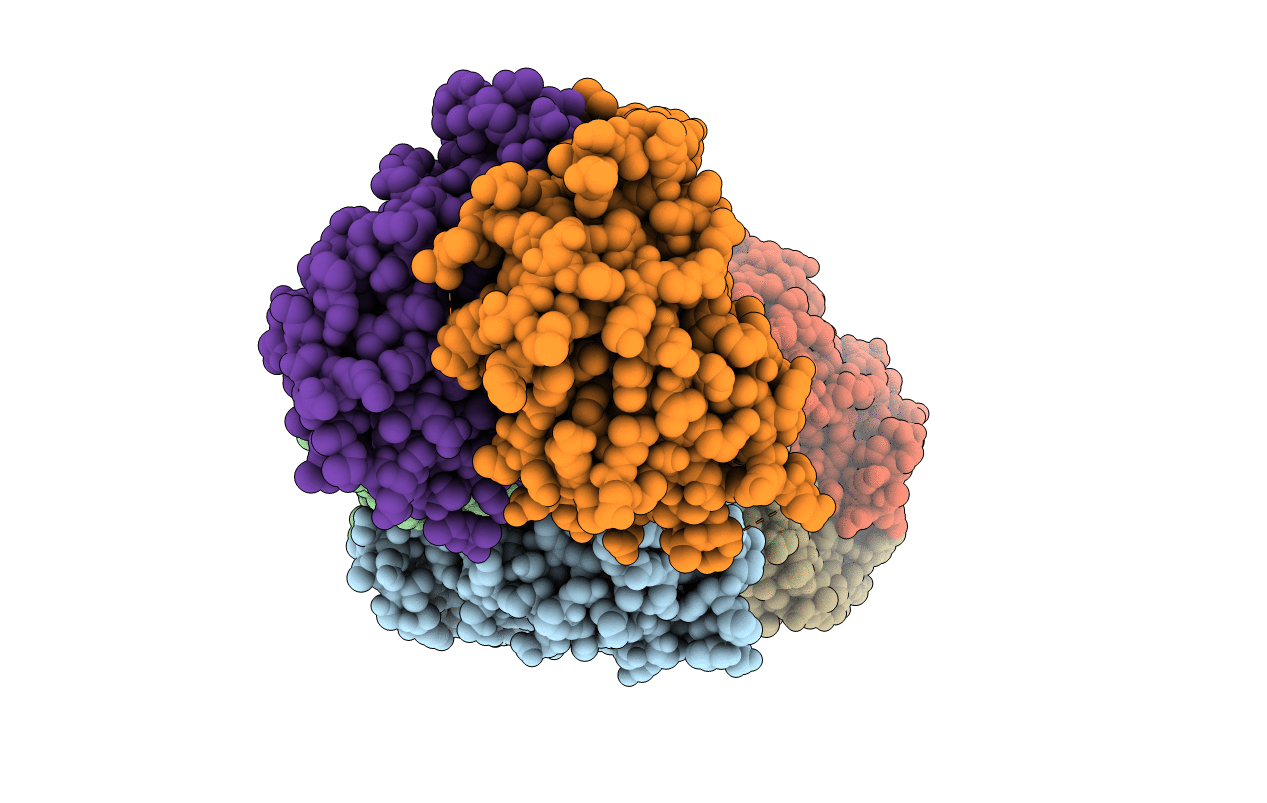 5U2B image