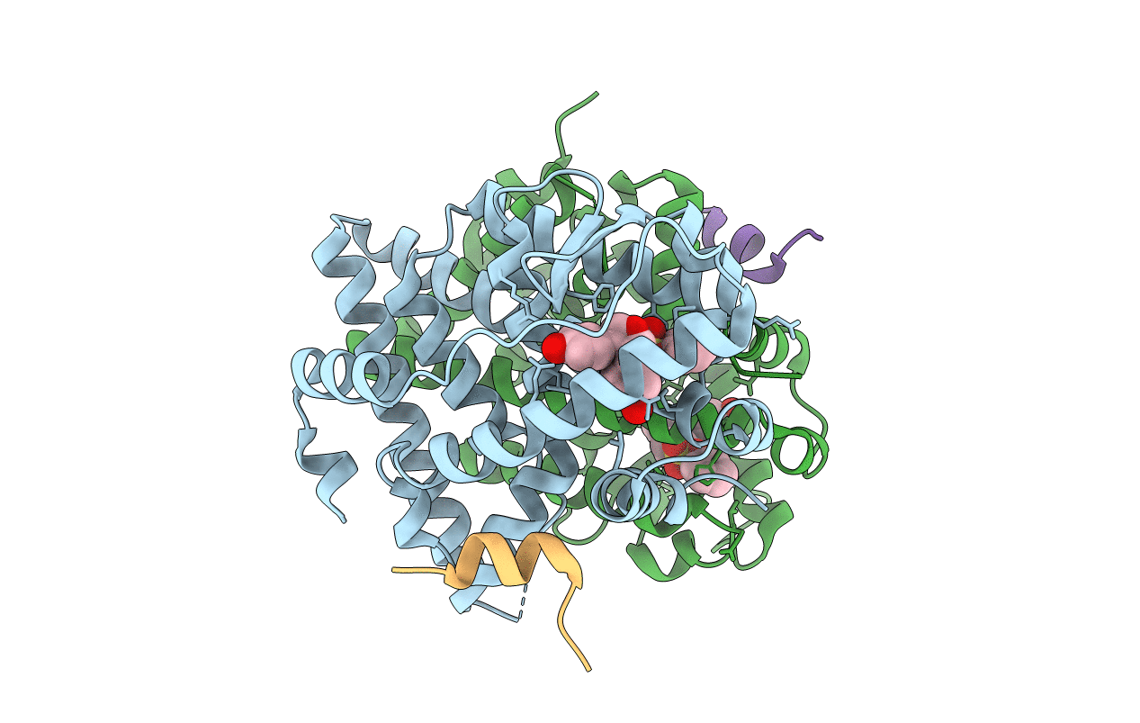 5U2D image
