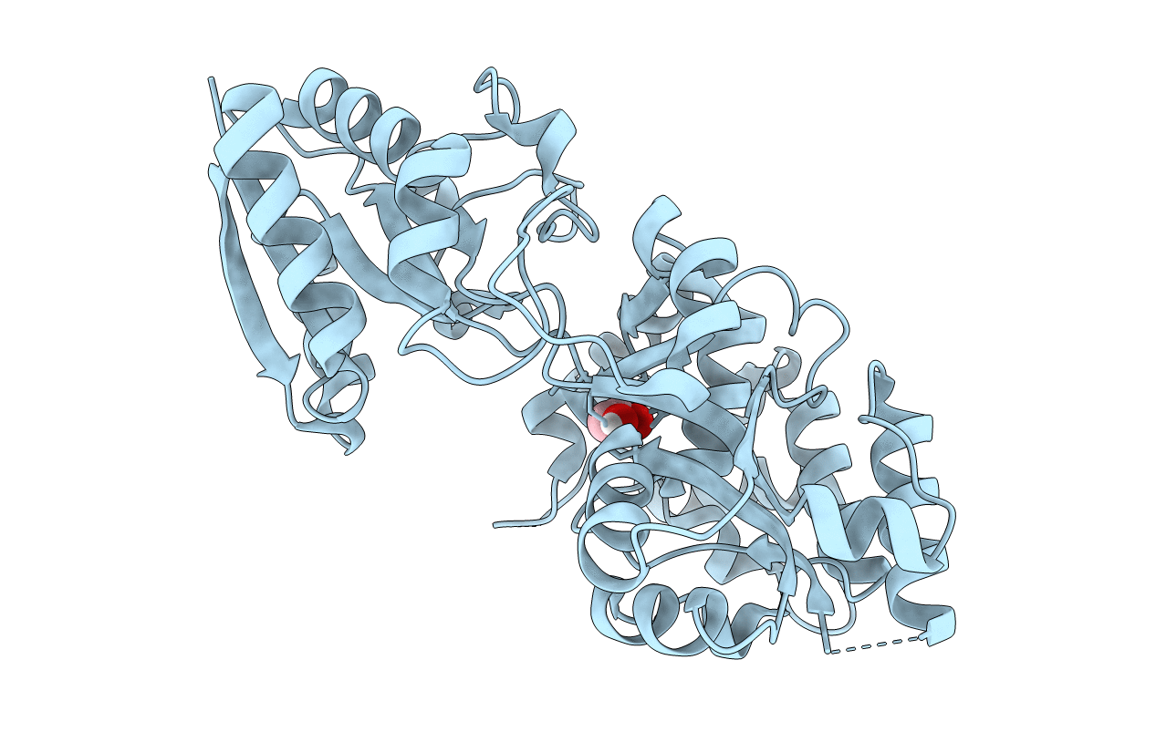 5U2P image