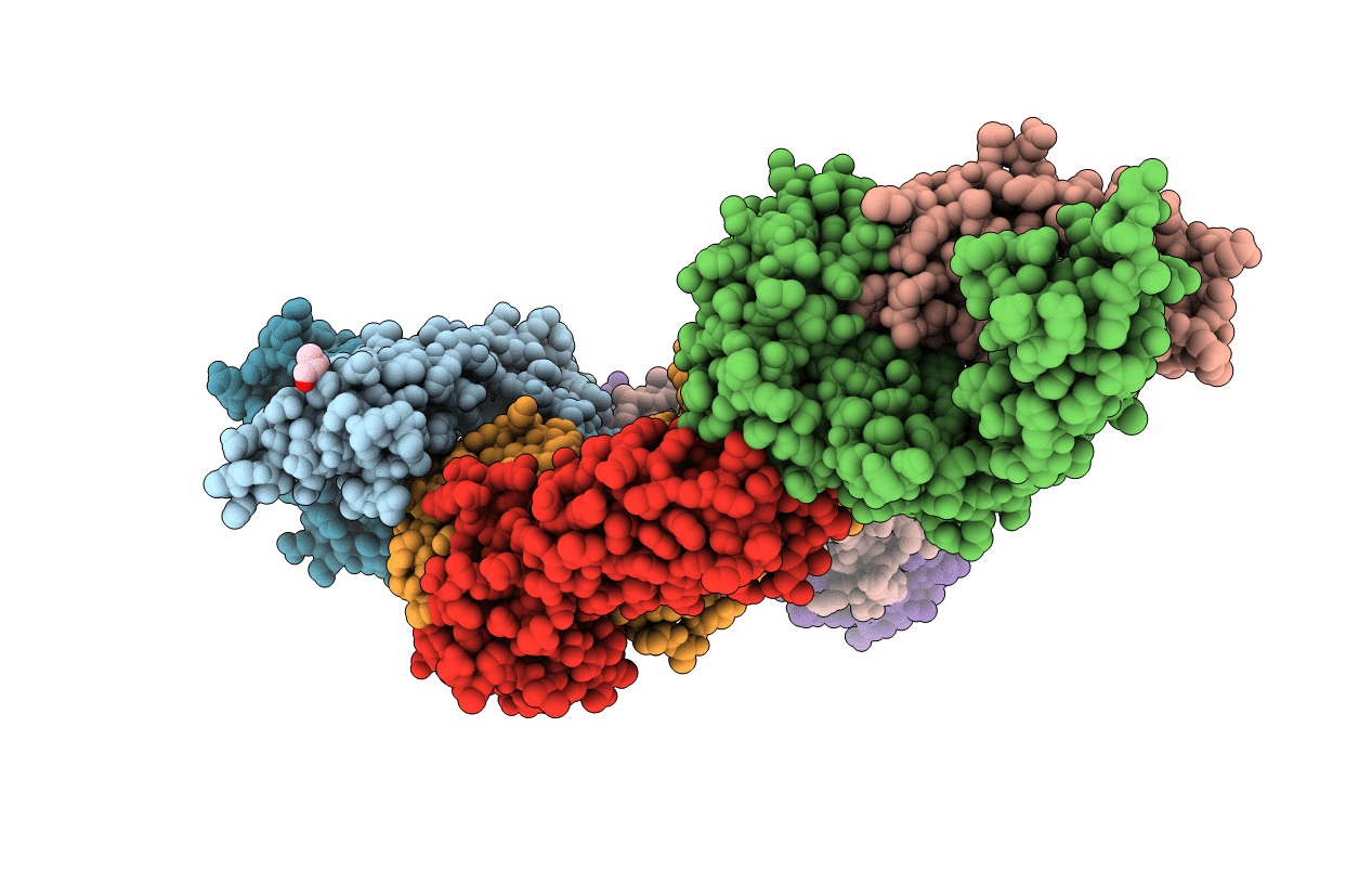 5U2V image