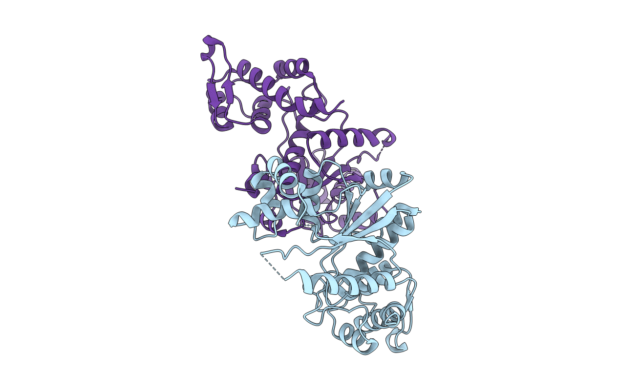 5U36 image