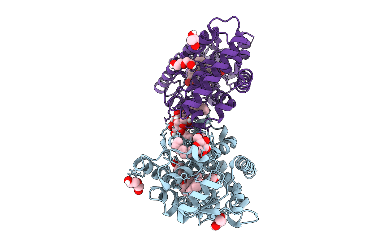 5U42 image