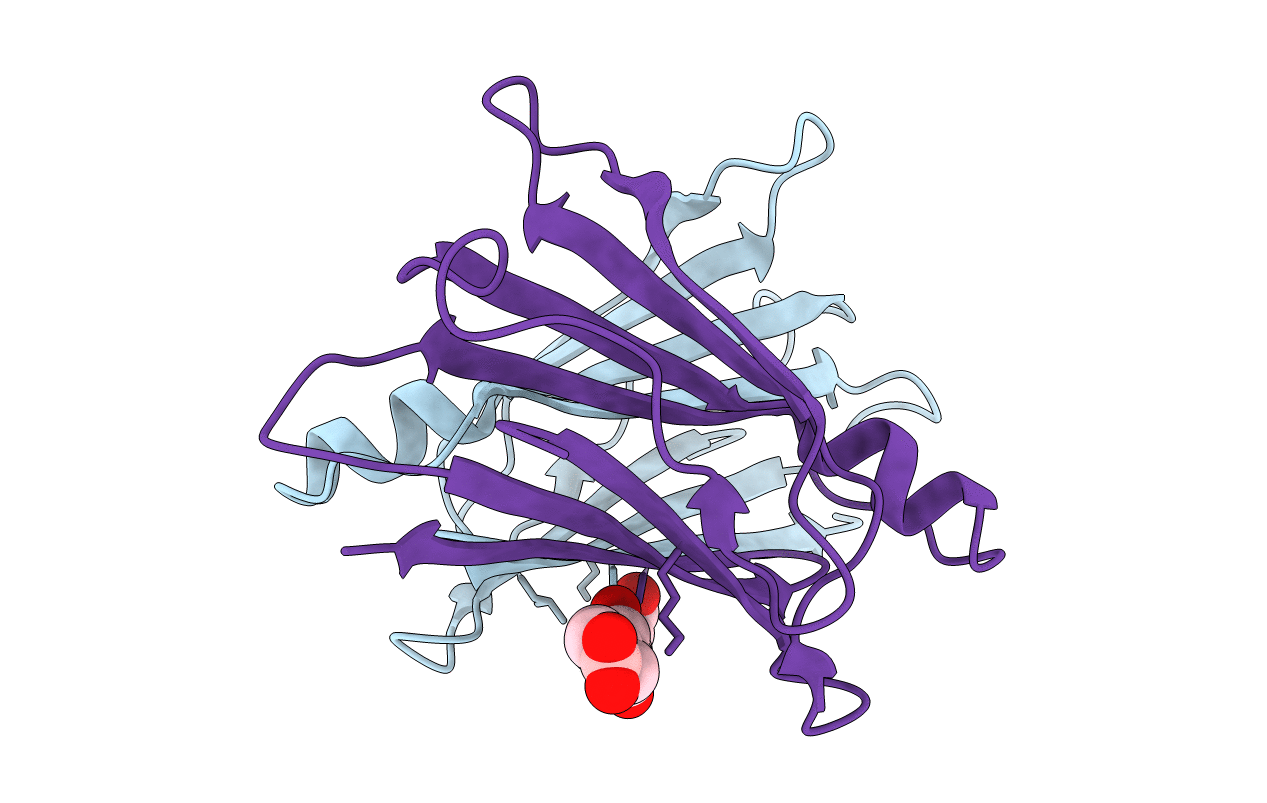 5U48 image