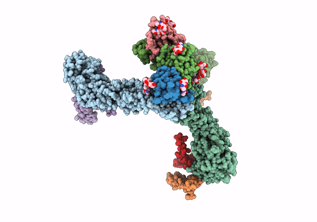 5U4W image