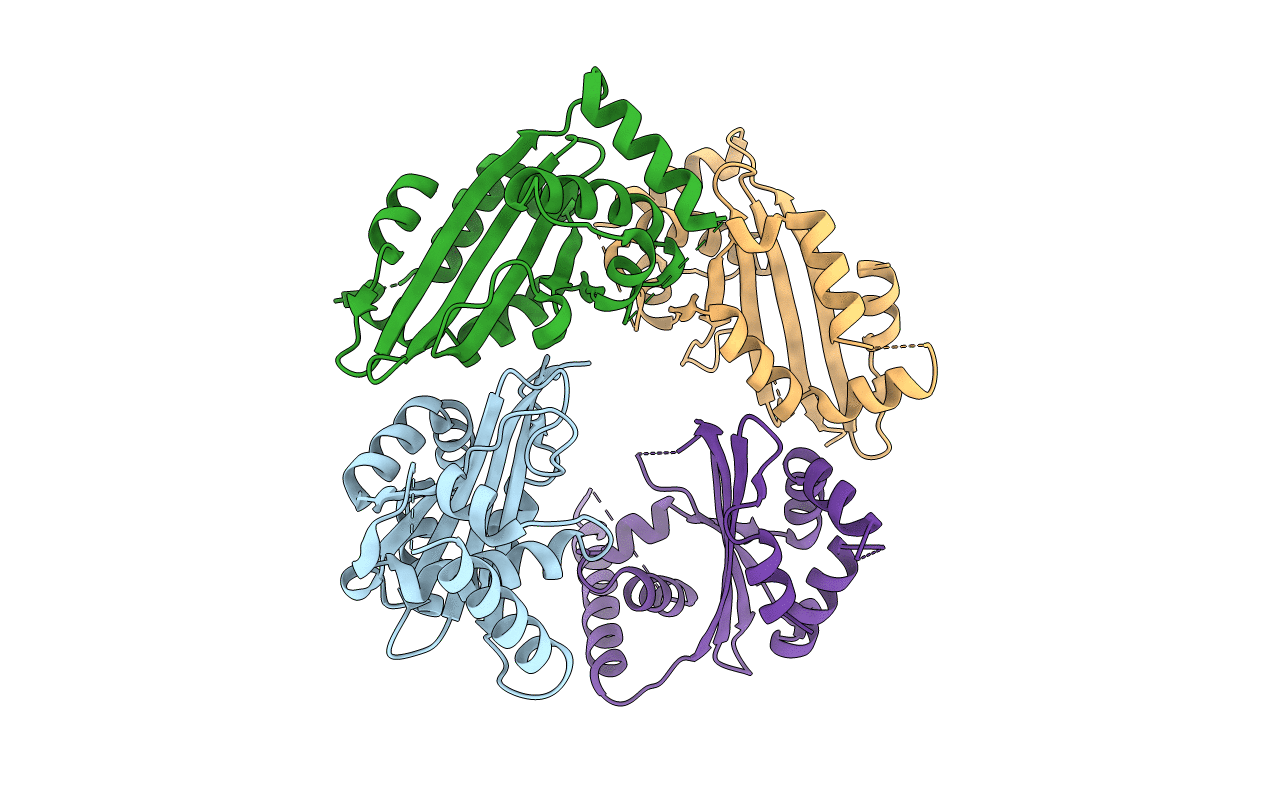 5U50 image