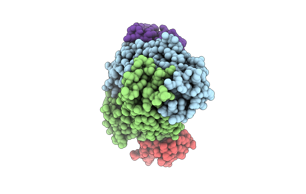 5U5F image
