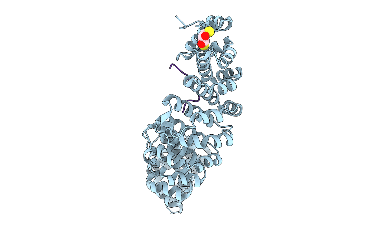 5U5R image