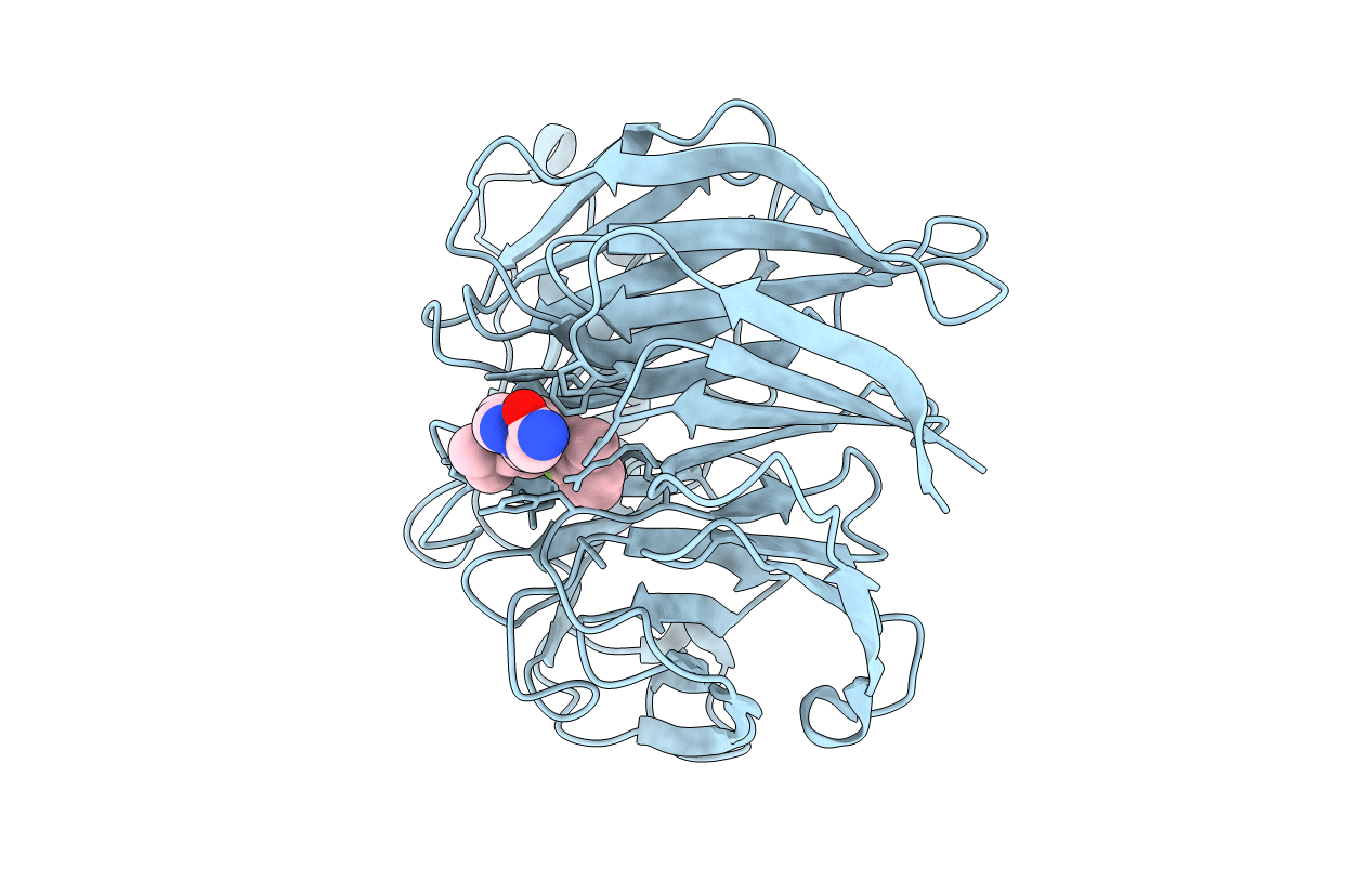 5U6D image