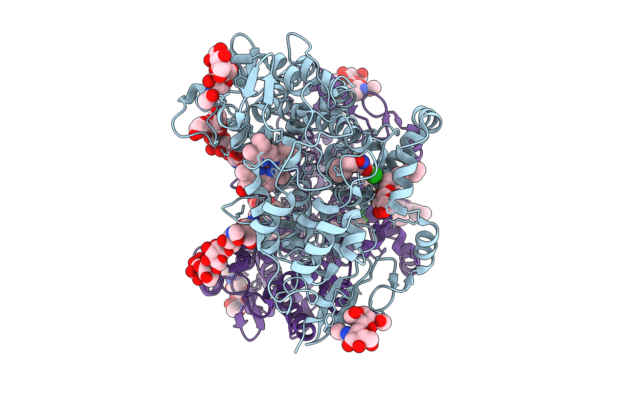 5U6X image