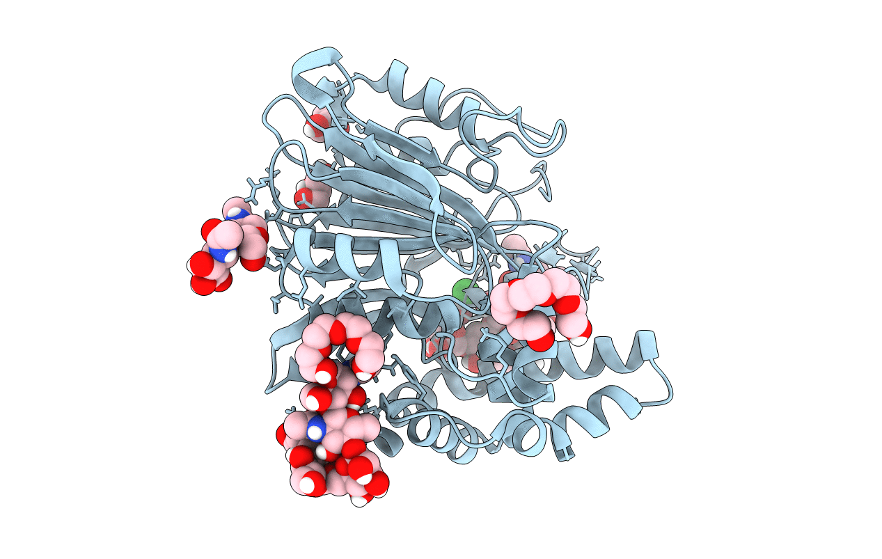 5U81 image