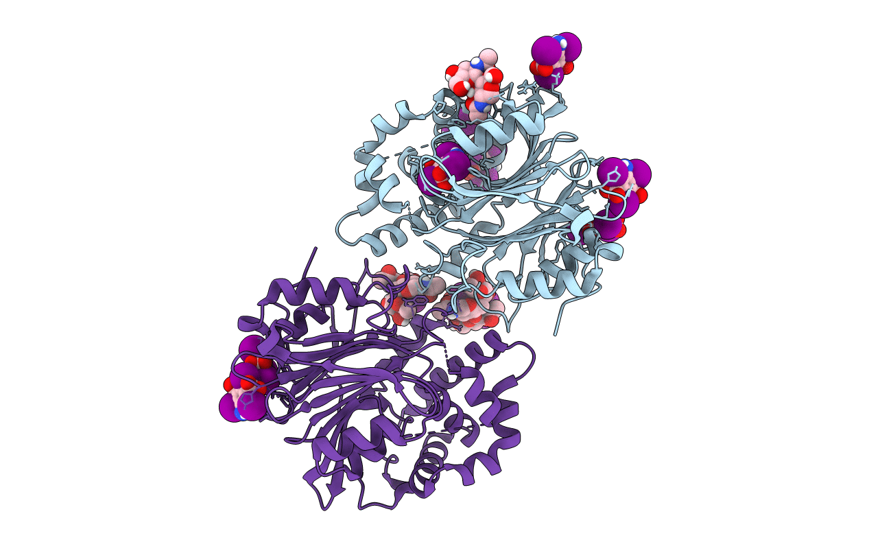 5U84 image