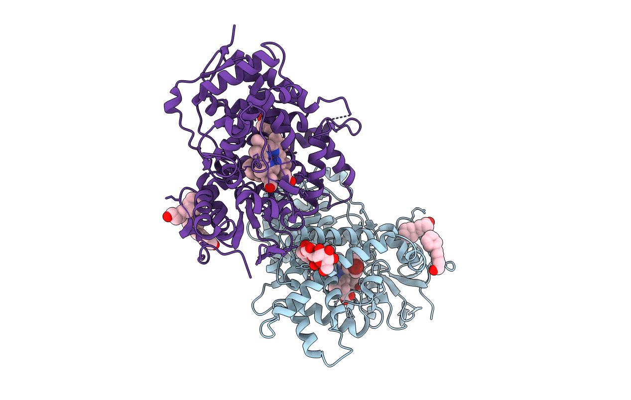 5UAP image