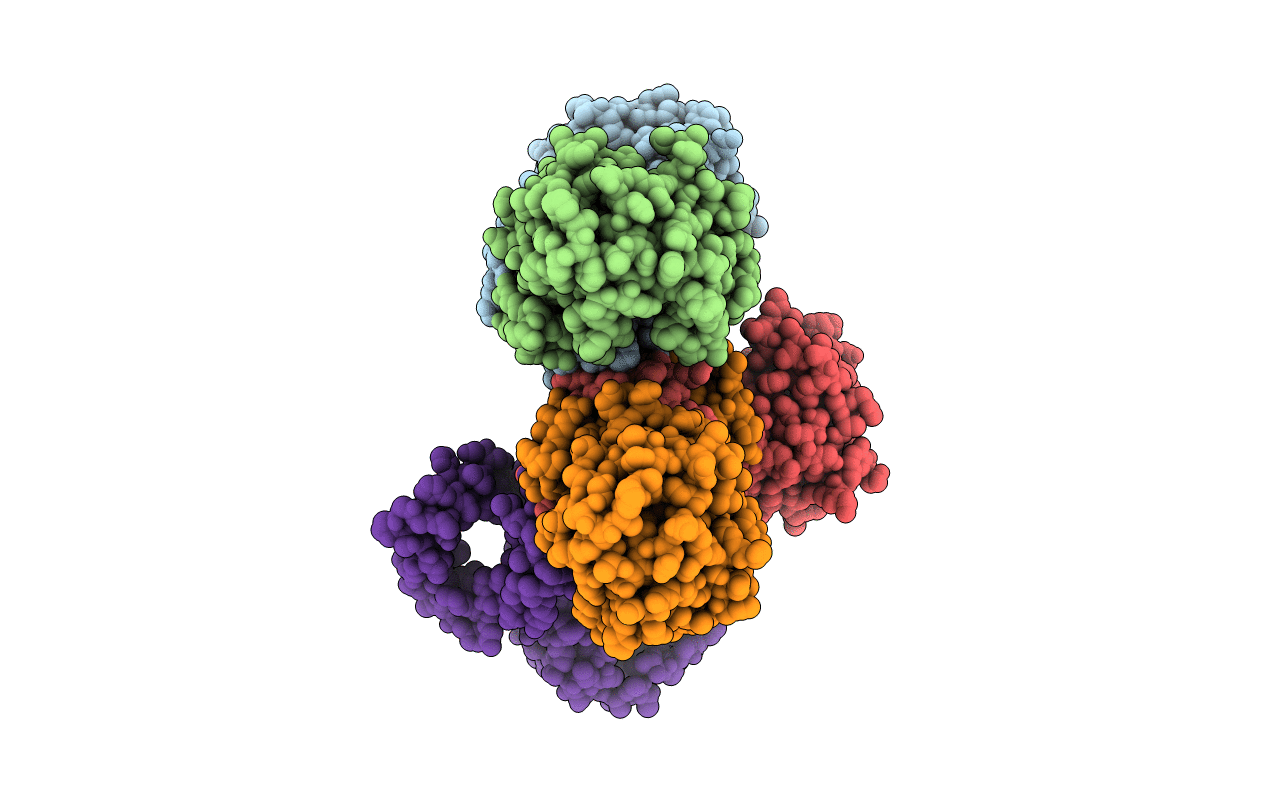 5UAX image