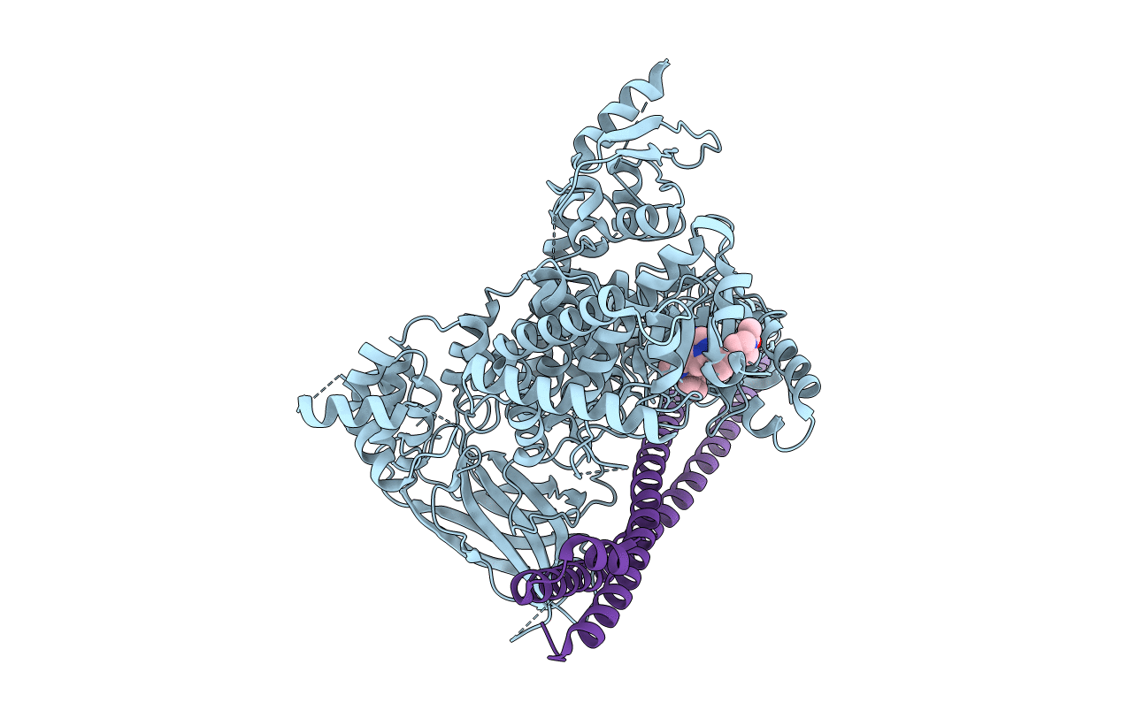 5UBT image