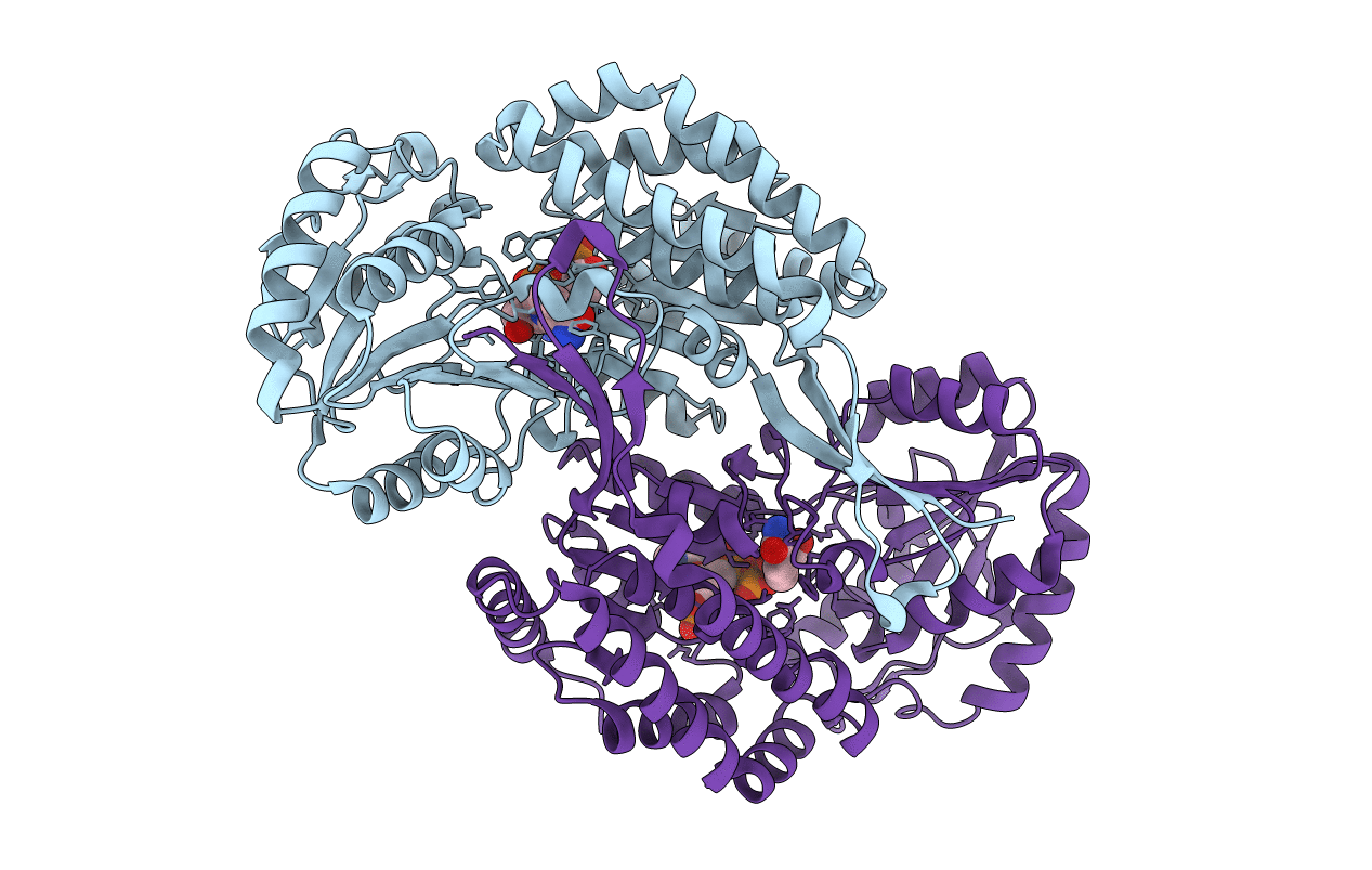 5UCD image