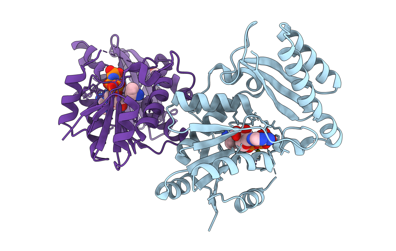 5UCR image