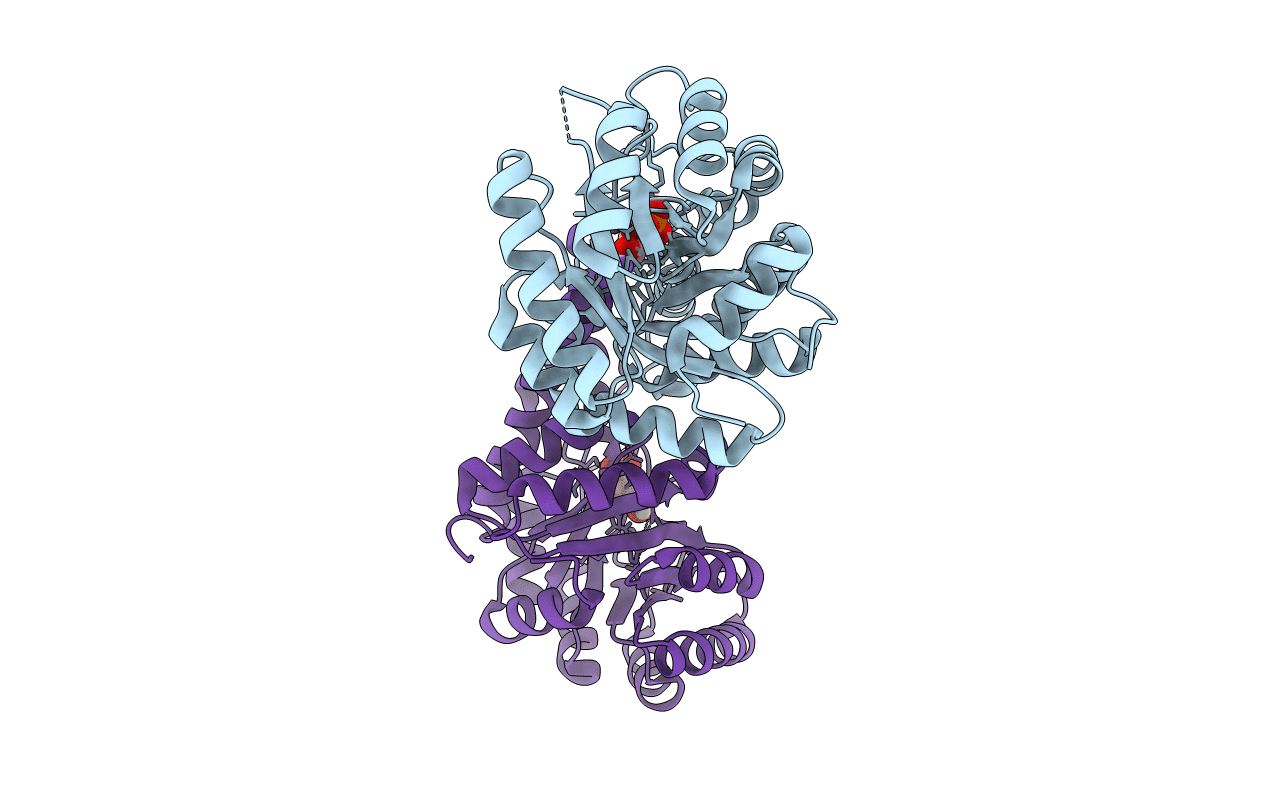 5UD2 image