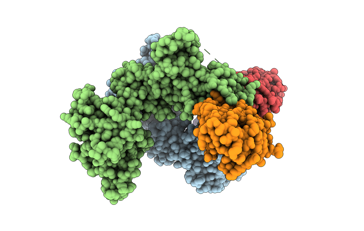 5UDH image