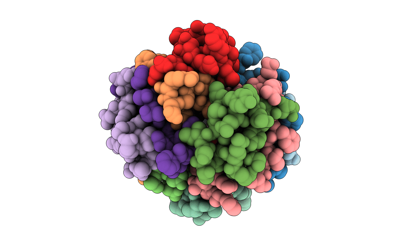 5UDP image
