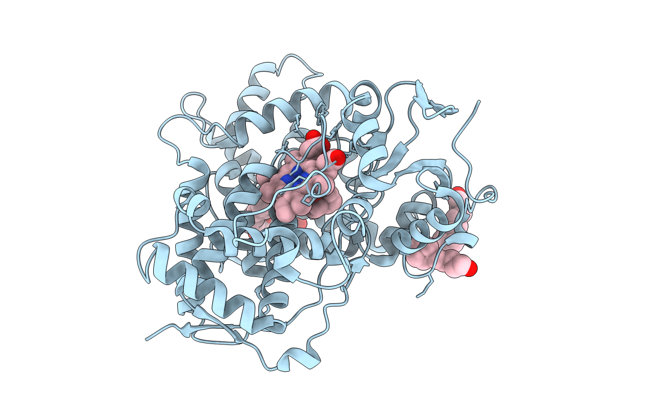 5UEC image