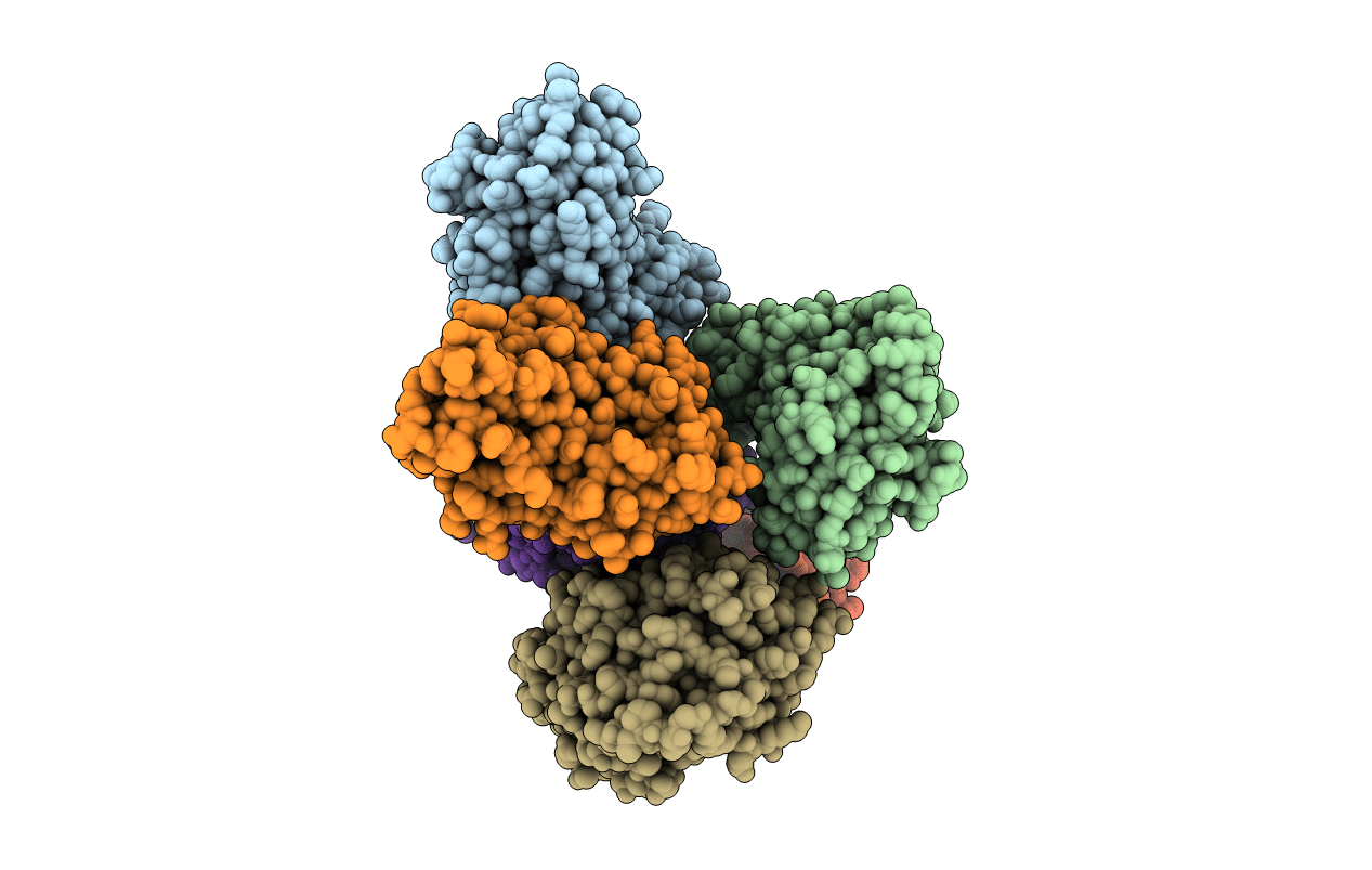 5UFV image