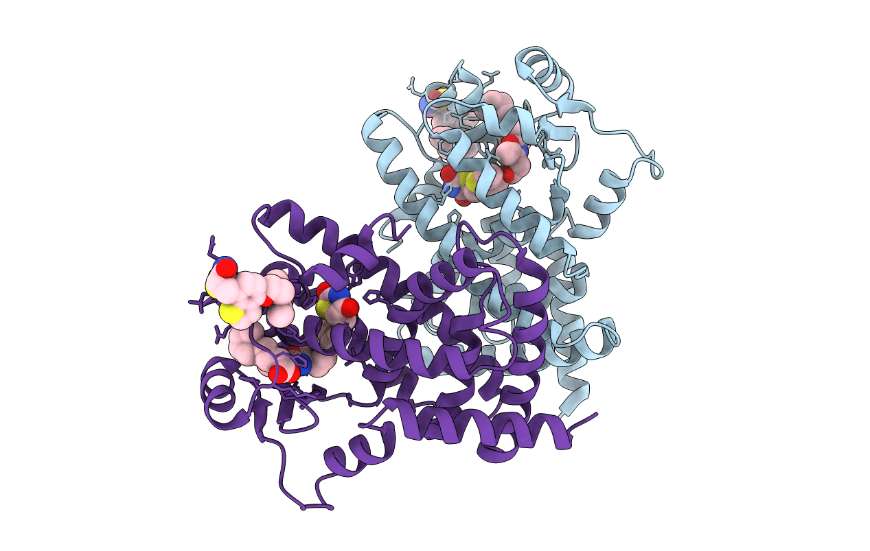 5UGM image