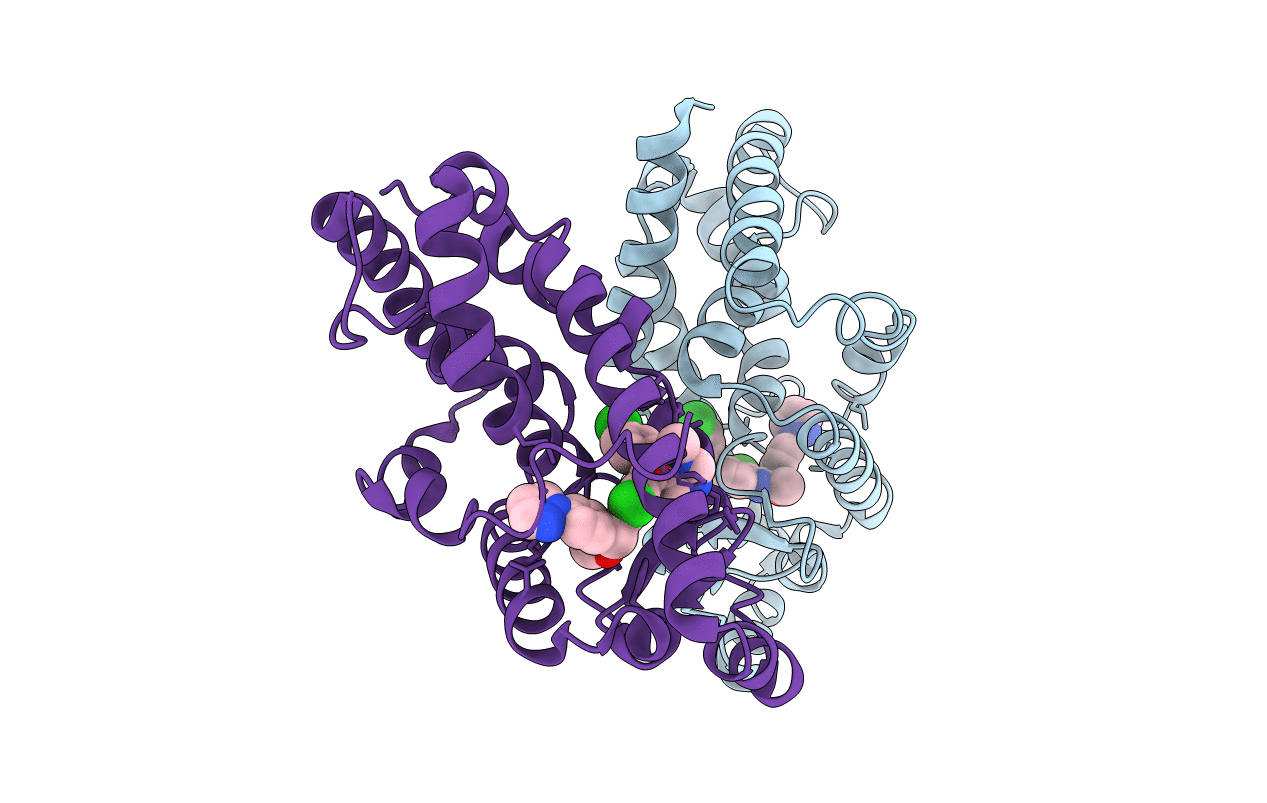 5UHI image
