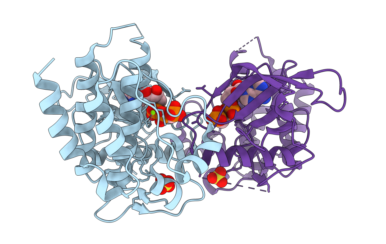 5UHN image