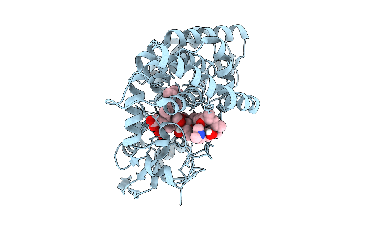 5UHU image
