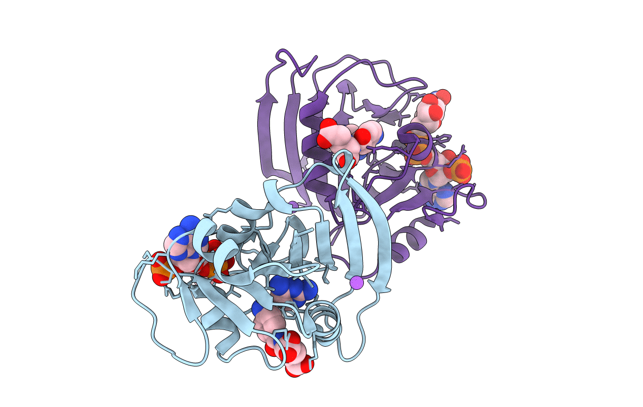 5UIP image