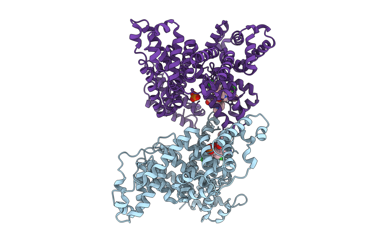 5UJB image