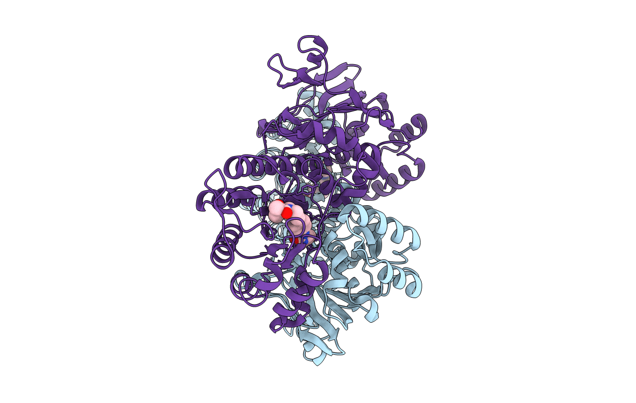 5UPF image