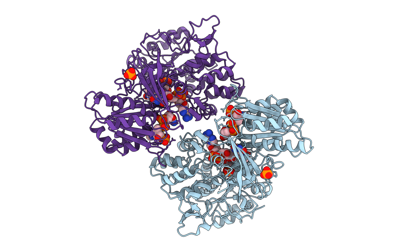 5URH image