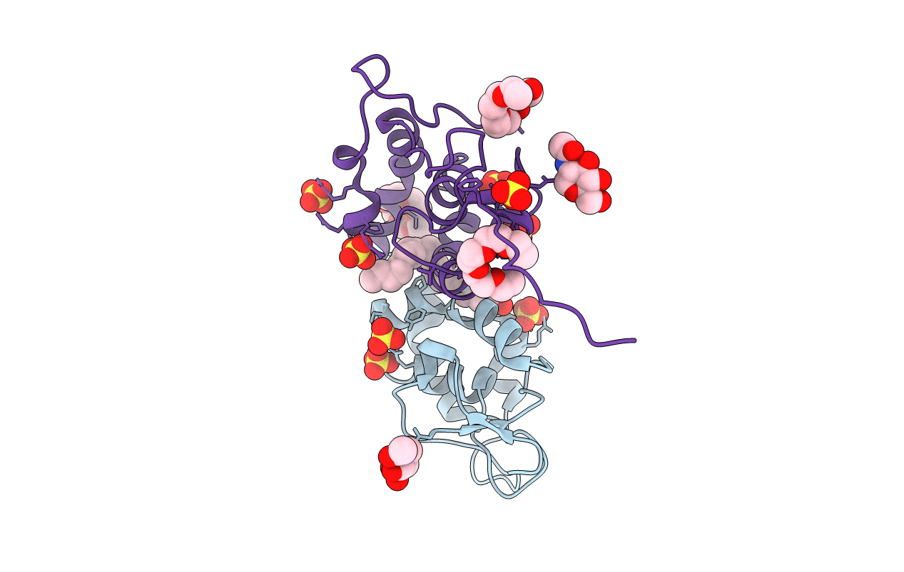 5URV image