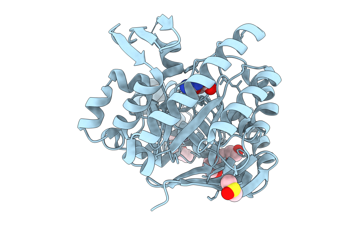 5UTI image