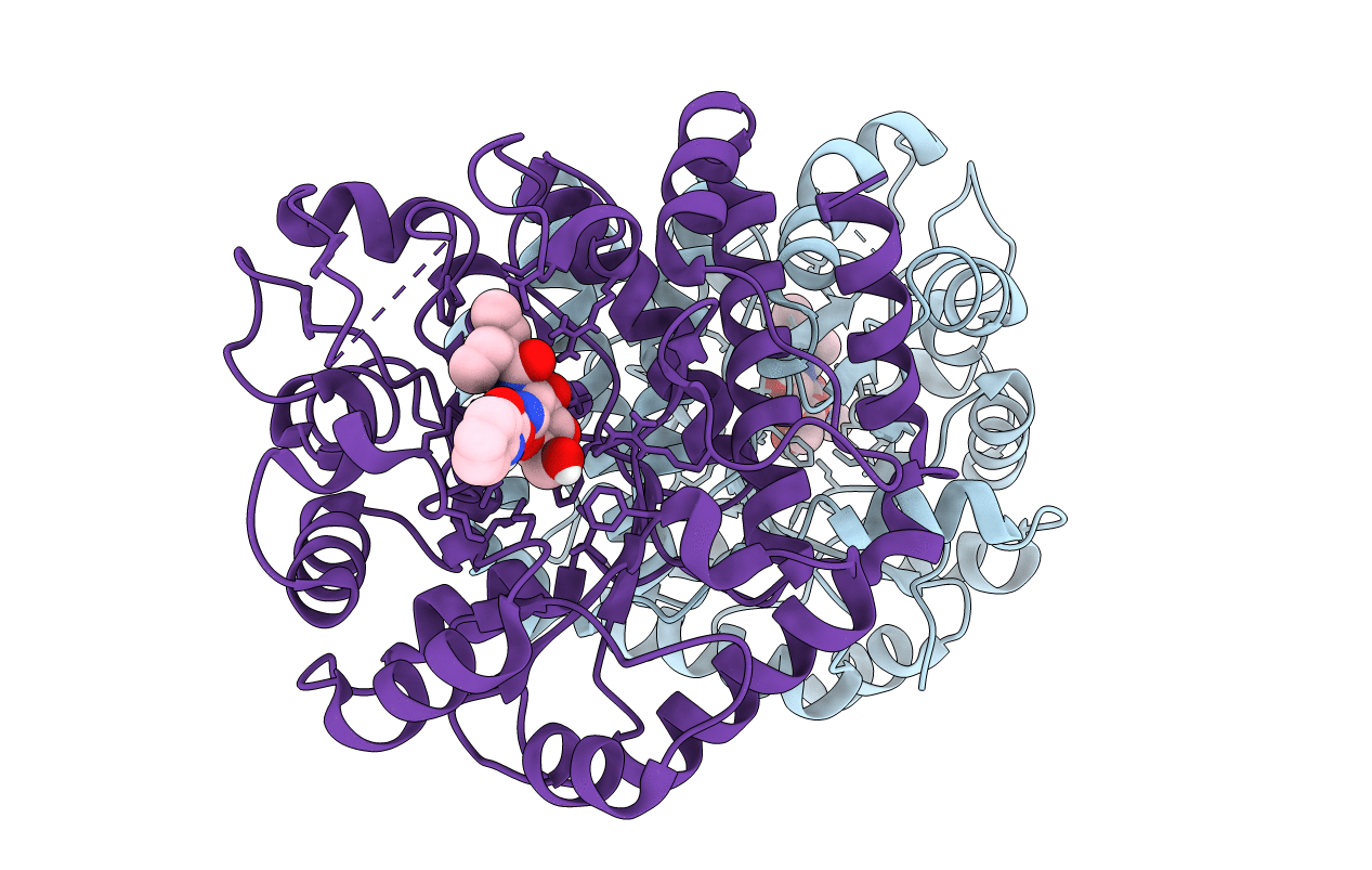 5UTP image