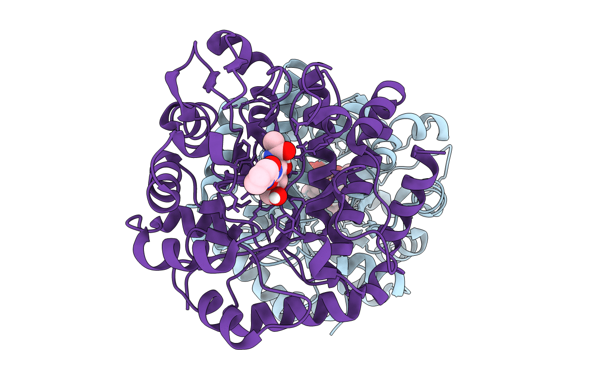 5UTQ image
