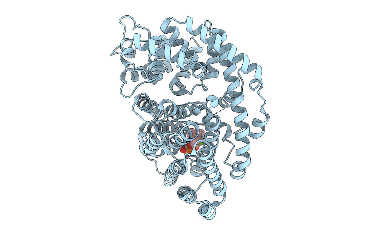 5UV1 image