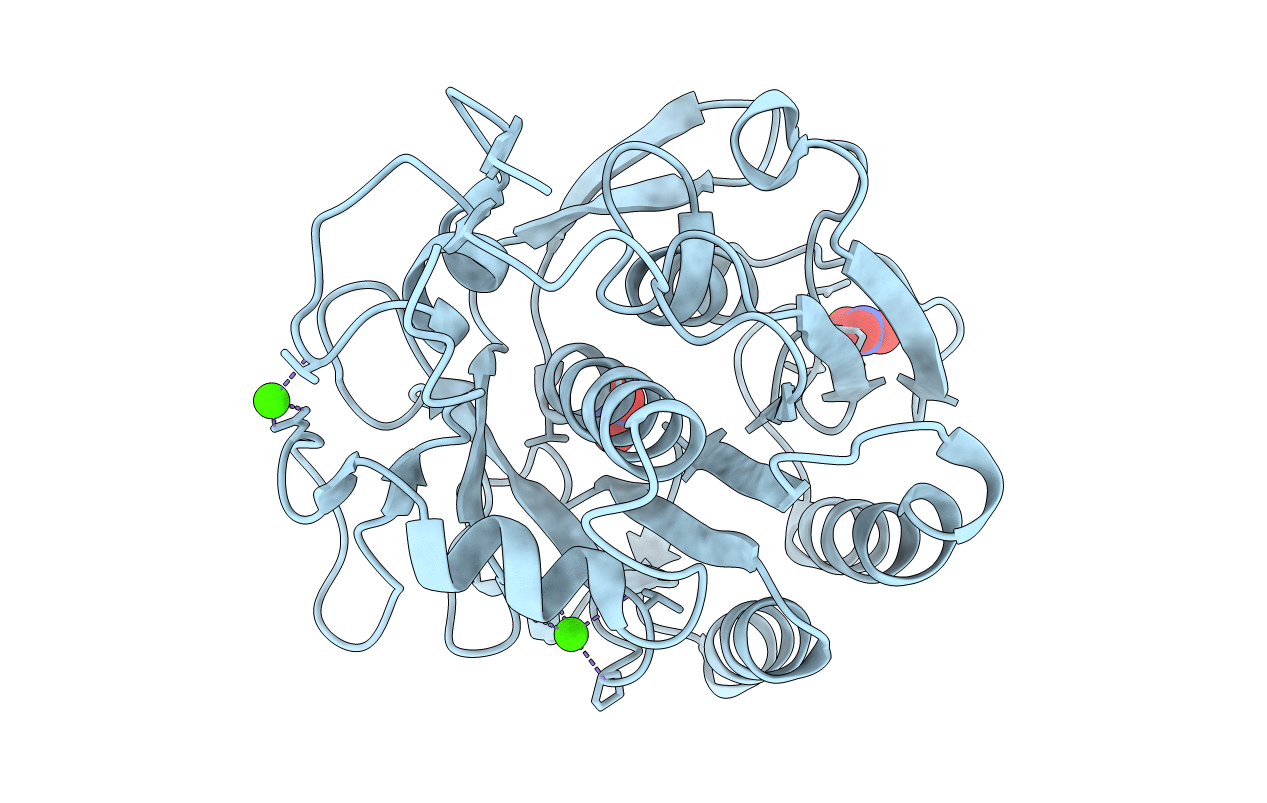 5UVL image