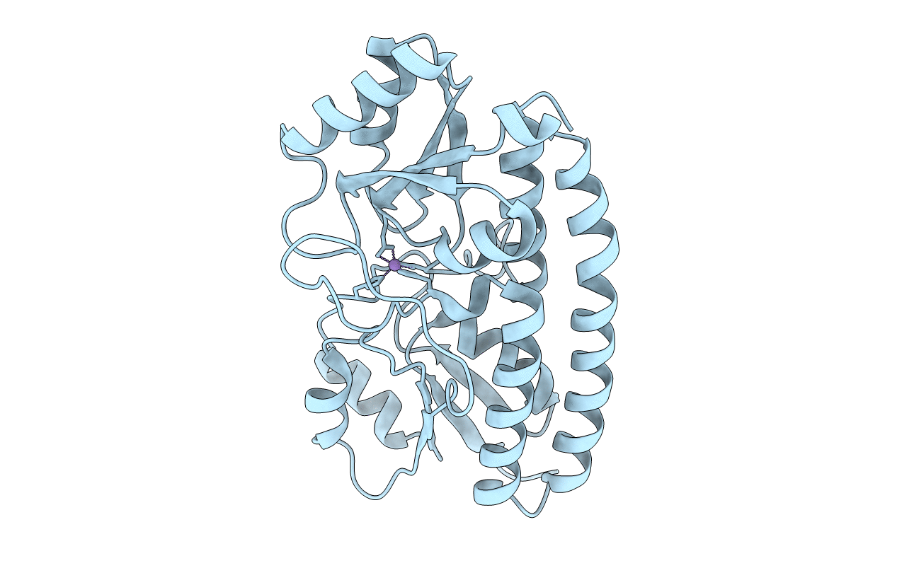 5UYC image