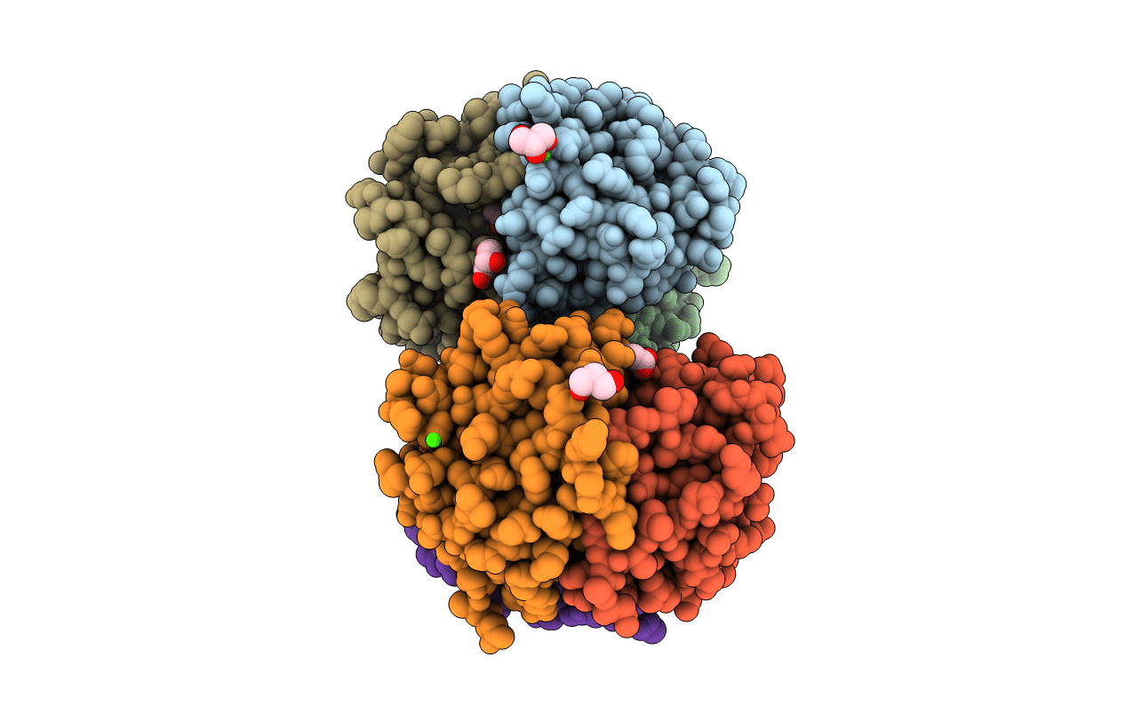 5V4D image