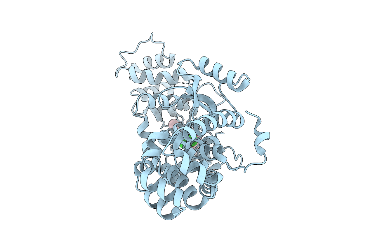 5V86 image