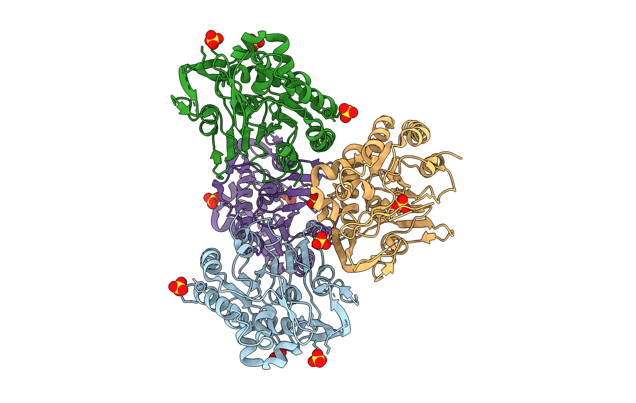 5V8D image