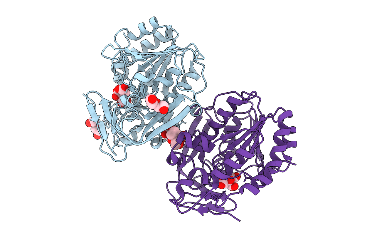 5V8E image