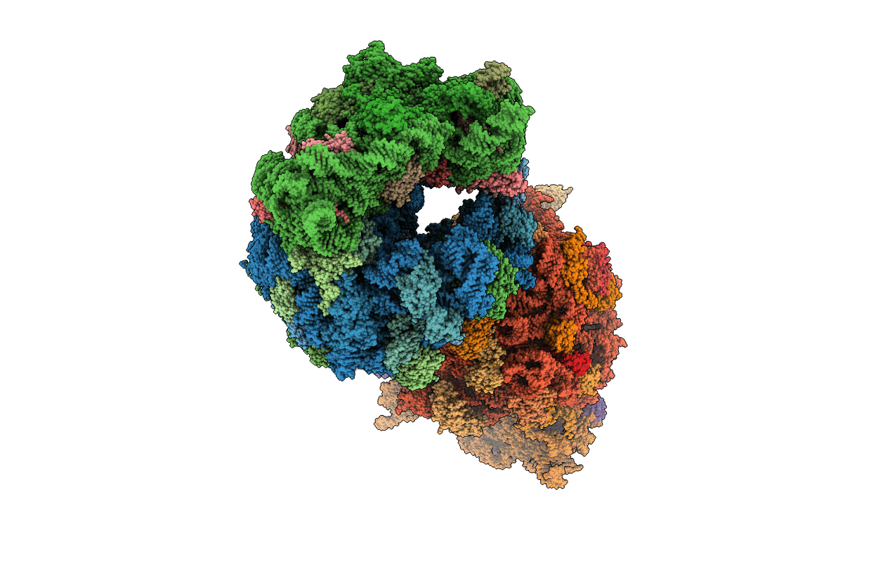 5V8I image