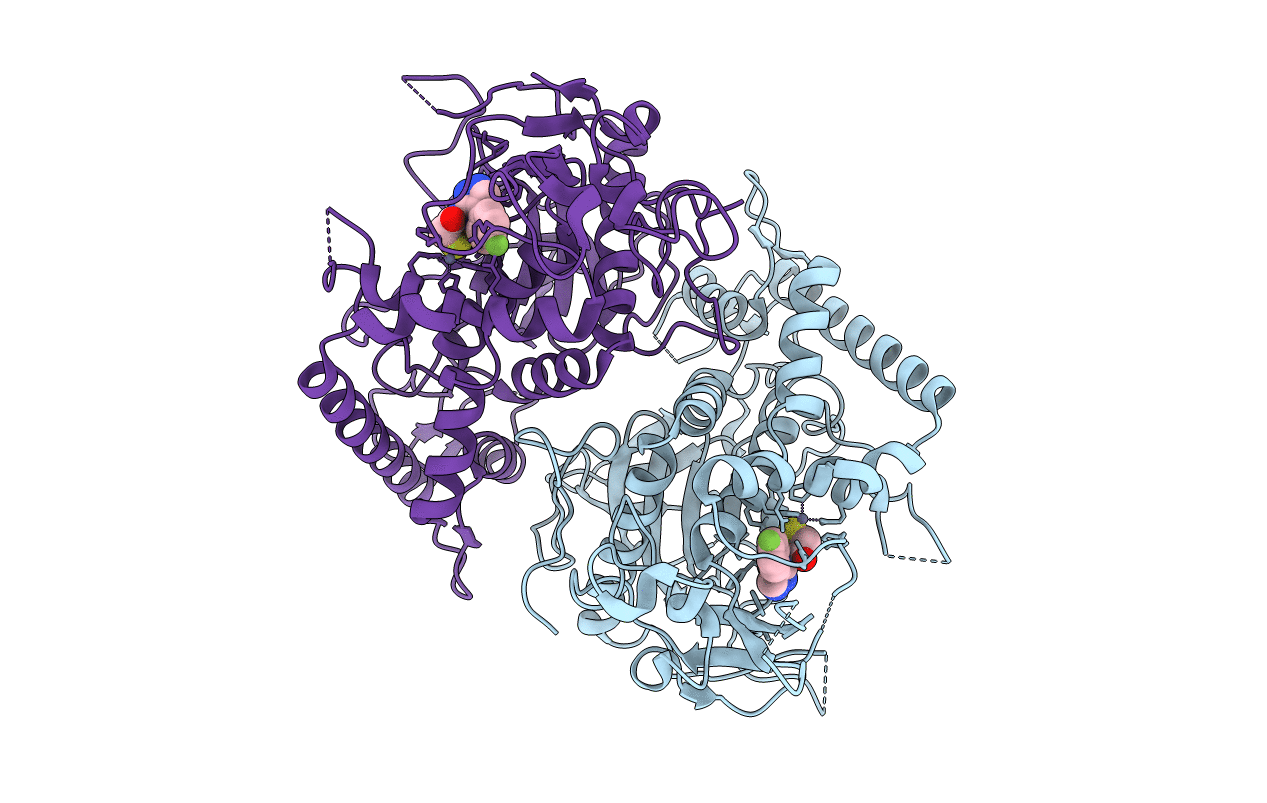 5V8R image