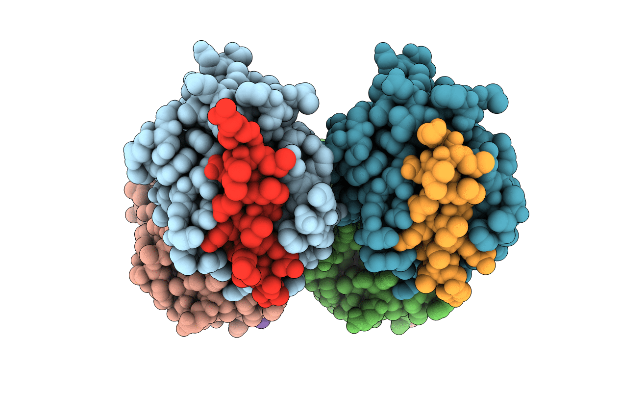 5VAX image